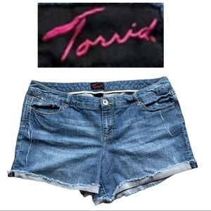 TORRID slightly distressed cutoff denim shorts 22